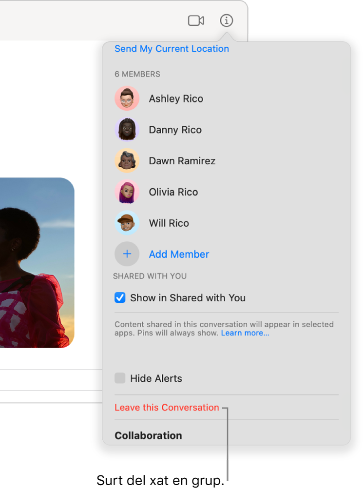 La vista d’informació, que apareix després de fer clic al botó d’informació en una conversa. L'opció “Deixa la conversa” està a prop de la part inferior del diàleg.
