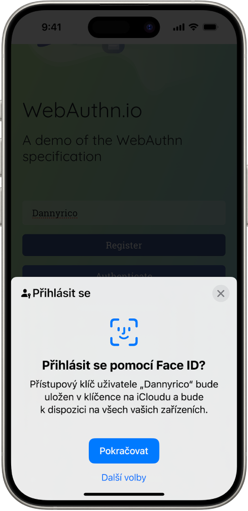 V dolní polovině obrazovky iPhonu je k dispozici volba pro použití přístupových klíčů pro přihlášení k webové stránce. Obsahuje tlačítko Pokračovat, kterým můžete přístupový klíč uložit, a tlačítko Další volby.