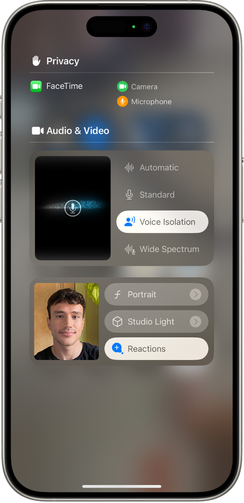 The Control Center settings for FaceTime calls, showing the audio settings Automatic, Standard, Voice Isolation, and Wide Spectrum.