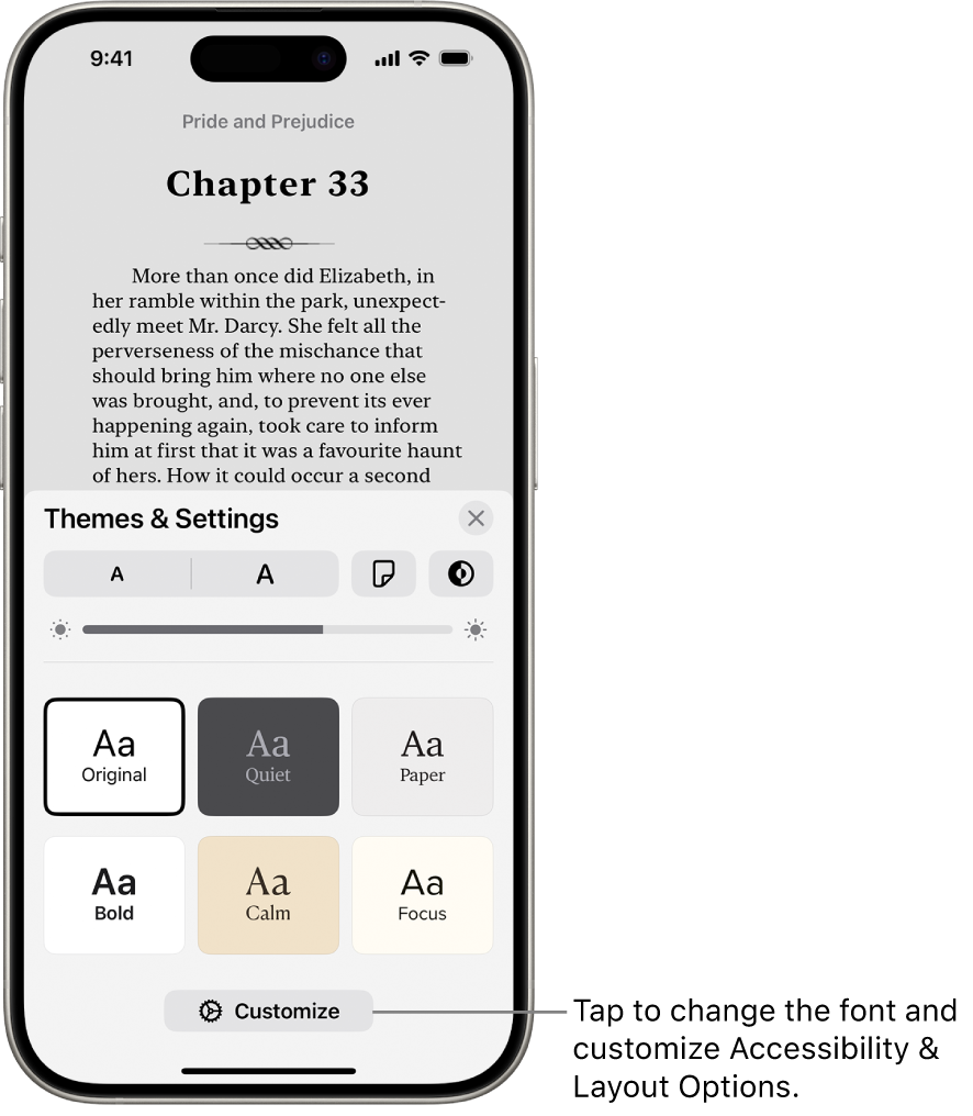 A page of a book in the Books app. The Themes & Settings options show controls for font size, scrolling view, page turn style, brightness, and font styles.