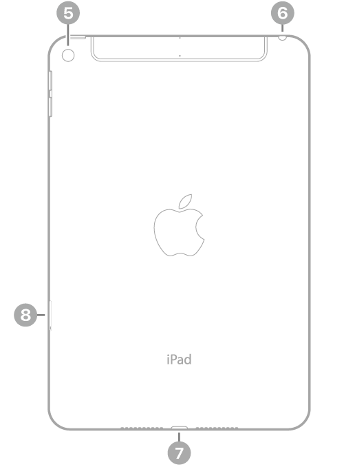 Vista traseira do iPad mini com chamadas para a câmera traseira acima à esquerda, o conector para fone de ouvido acima à direita, o conector Lightning no centro abaixo e a bandeja do SIM (Wi-Fi + Cellular) abaixo à esquerda.